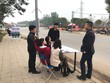 Môi giới bất động sản, khó chồng khó