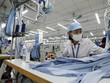 Doanh nghiệp chuẩn bị cho EVFTA