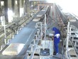 Doanh nghiệp ngành xi măng cầu cứu
