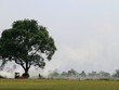 Làng xưa, làng nay