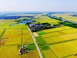 Huyện có được từ chối gia hạn sử dụng đất nông nghiệp?