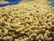 Lại lo tình trạng lừa đảo thanh toán xuất nhập khẩu với thị trường châu Phi