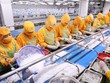 Bà Rịa - Vũng Tàu lên kế hoạch phát triển bền vững doanh nghiệp tư nhân