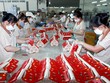 Gần 90% doanh nghiệp mới có vốn đăng ký dưới 10 tỷ đồng