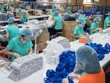 Doanh nghiệp dệt may hạ chỉ tiêu kinh doanh