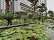 Chủ đầu tư Green Pearl Minh Khai: Chúng tôi bị kẹt ở giữa