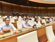 Quốc hội quyết định miễn thuế sử dụng đất nông nghiệp hết năm 2025