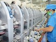 Quảng Ninh đón nhận dự án sản xuất vải hơn 200 triệu USD