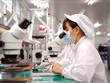Làm thế nào để doanh nghiệp FDI “định cư” tại Hà Nội?