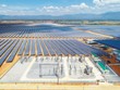 Sức bật sau khủng hoảng từ đầu tư bền vững