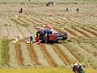 Phú Hòa chuyển mình trên vùng “đất phú, trời yên”