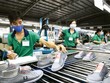Phê duyệt kế hoạch thực hiện Hiệp định hỗ trợ Hải quan Việt Nam - Hoa Kỳ
