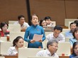 Quốc hội giám sát những gì trong năm chuyển giao nhiệm kỳ?