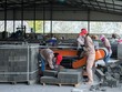 Nhiều doanh nghiệp sản xuất gạch không nung đóng cửa