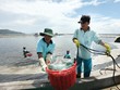 Đầu tư lớn vào nuôi trồng, chế biến thủy sản