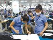 Xuất khẩu dệt may vuột mất 7-8 tỷ USD