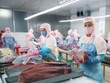 Kinh tế 5 năm và cú sốc Covid-19 - Bài 2: Chỉ tiêu mới, động lực mới 2021