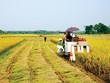 Trình Quốc hội chỉ tiêu GDP năm 2021 tăng 6%