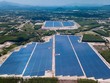 Bình Định xin chuyển hàng trăm héc-ta đất rừng để làm điện mặt trời