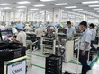 Xuất khẩu của doanh nghiệp trong nước "trưởng thành"