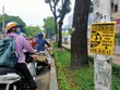 Doanh nghiệp địa ốc chuẩn bị nguồn lực cho năm mới