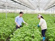 Đến 2025, thành lập mới 10.000 tổ chức kinh tế tập thể