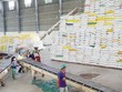 Xuất khẩu gạo ghi điểm