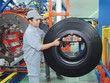 Casumina (CSM) lên kế hoạch năm 2020 lãi tăng 130%