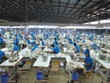6 tháng, TNG báo lãi sau thuế 65,7 tỷ đồng, giảm 29%