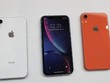 Apple nói Xr đang là mẫu iPhone bán chạy nhất