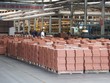Quỹ SIAM muốn thoái 100% vốn góp tại Viglacera Hạ Long (VHL)
