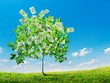 Thị trường tài chính 24h: Nhà đầu tư đã quên đi những mất mát ngày thứ Ba