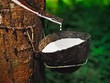 Cổ phiếu cần quan tâm ngày 22/5