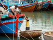 Thủ phủ tôm hùm Phú Yên mất trắng bão Damrey
