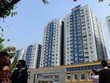Doanh thu Công ty Năm Bảy Bảy (NBB) tăng đột biến nhờ dự án đối diện Carina