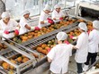 Hiệu quả giảm, chậm lên sàn: Cổ đông lớn Vegetexco làm ngơ?