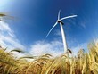 Xây lắp điện I (PCC1) ký hợp đồng EPC Dự án Điện gió Trà Vinh
