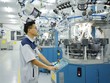 EuroCham: Việt Nam cần mở rộng hỗ trợ doanh nghiệp