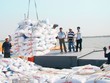 Sóng cổ phiếu phân bón nhờ lực đẩy từ chính sách