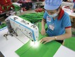Bao bì Thuận Đức: Triển vọng thị trường xanh rộng mở