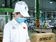 An Phát Holdings: Hút vốn ngoại, vươn lên mạnh mẽ