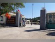 Bắt giữ nguyên chủ tịch xã ở Đắk Lắk vì tự ý bán gỗ tang vật