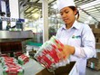 Cổ phiếu mới lên sàn, không phải cứ mua là thắng