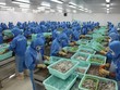 Doanh nghiệp thủy sản “sống chung với lũ”