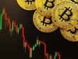 Giá Bitcoin hôm nay ngày 11/2: Thông tin tiêu cực bủa vây, giá Bitcoin có sự điều chỉnh