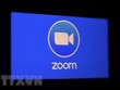 Zoom tiếp tục "ăn nên làm ra" trong mùa đại dịch COVID-19