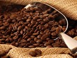 CTP: 9 tháng lãi 17,9 tỷ đồng lợi nhuận sau thuế