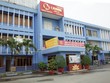 Năm 2020, Cao su Miền Nam (CSM) đặt kế hoạch lợi nhuận tăng gần 130%, chia cổ tức 5%