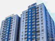 Quý II/2020, Đầu tư Năm Bảy Bảy (NBB) đạt lợi nhuận 96,2 tỷ đồng, giảm 57,7%