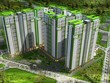 Năm Bảy Bảy (NBB): Quý III/2020, lợi nhuận đạt 76,9 tỷ đồng, giảm 35,3%